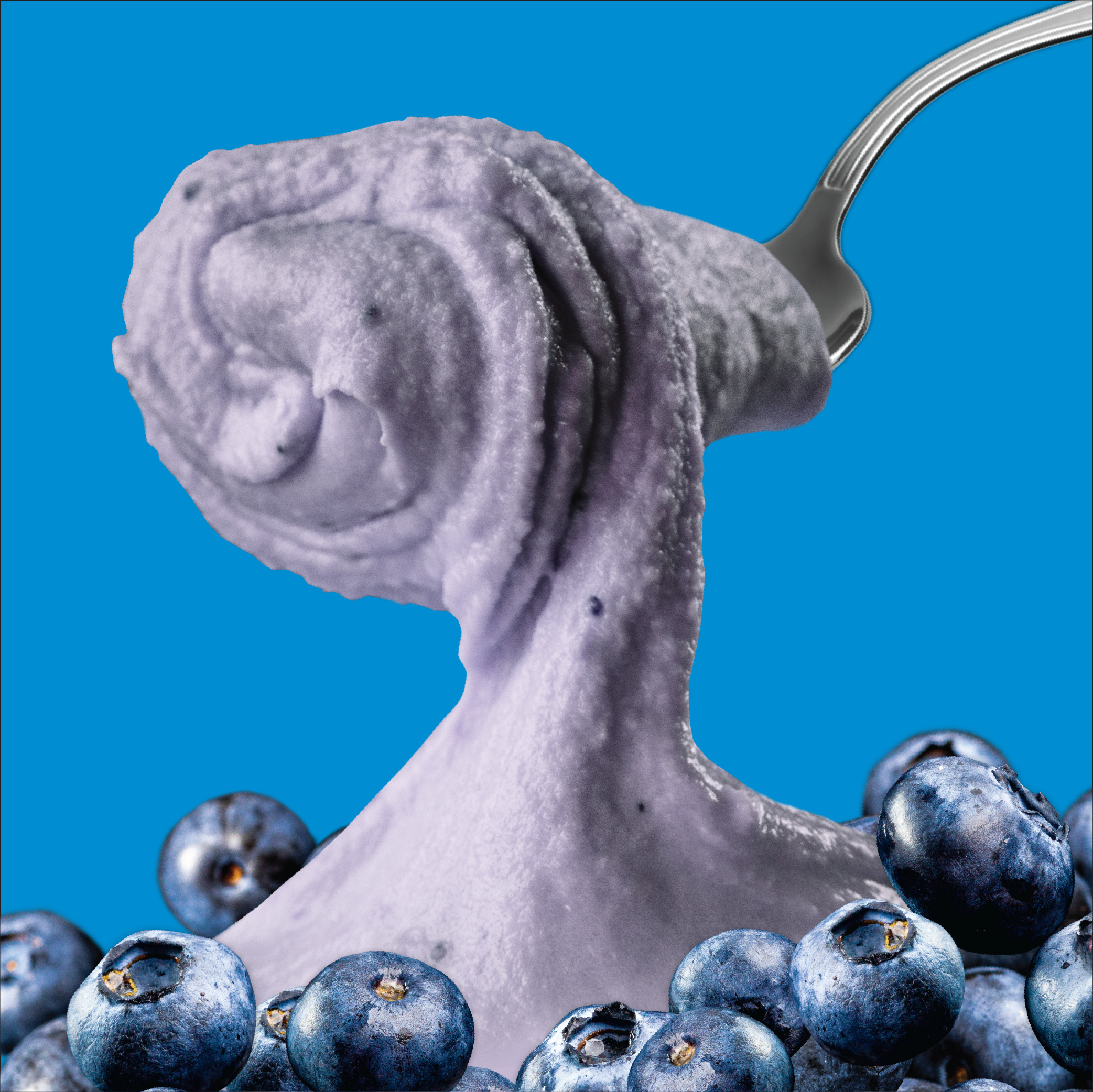 Blueberry
